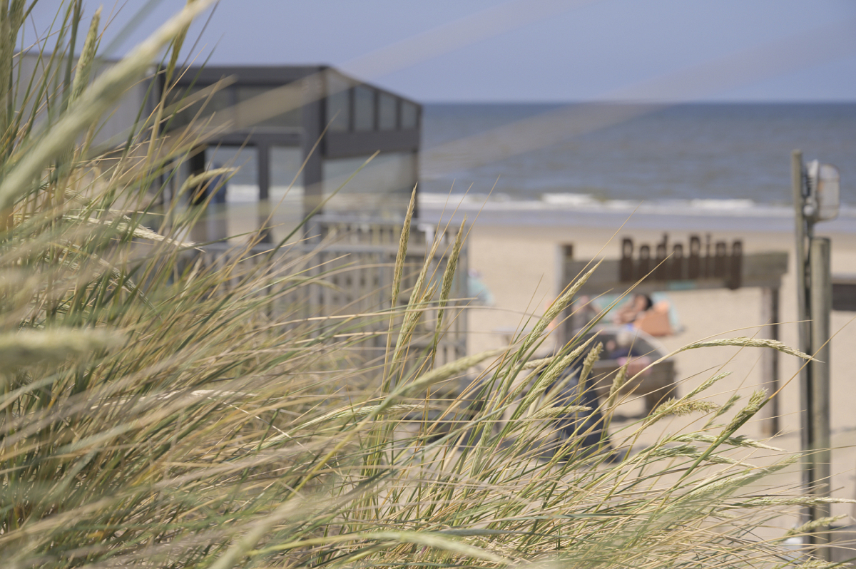 Badabing project Bergen aan zee Badabing project Bergen aan zee